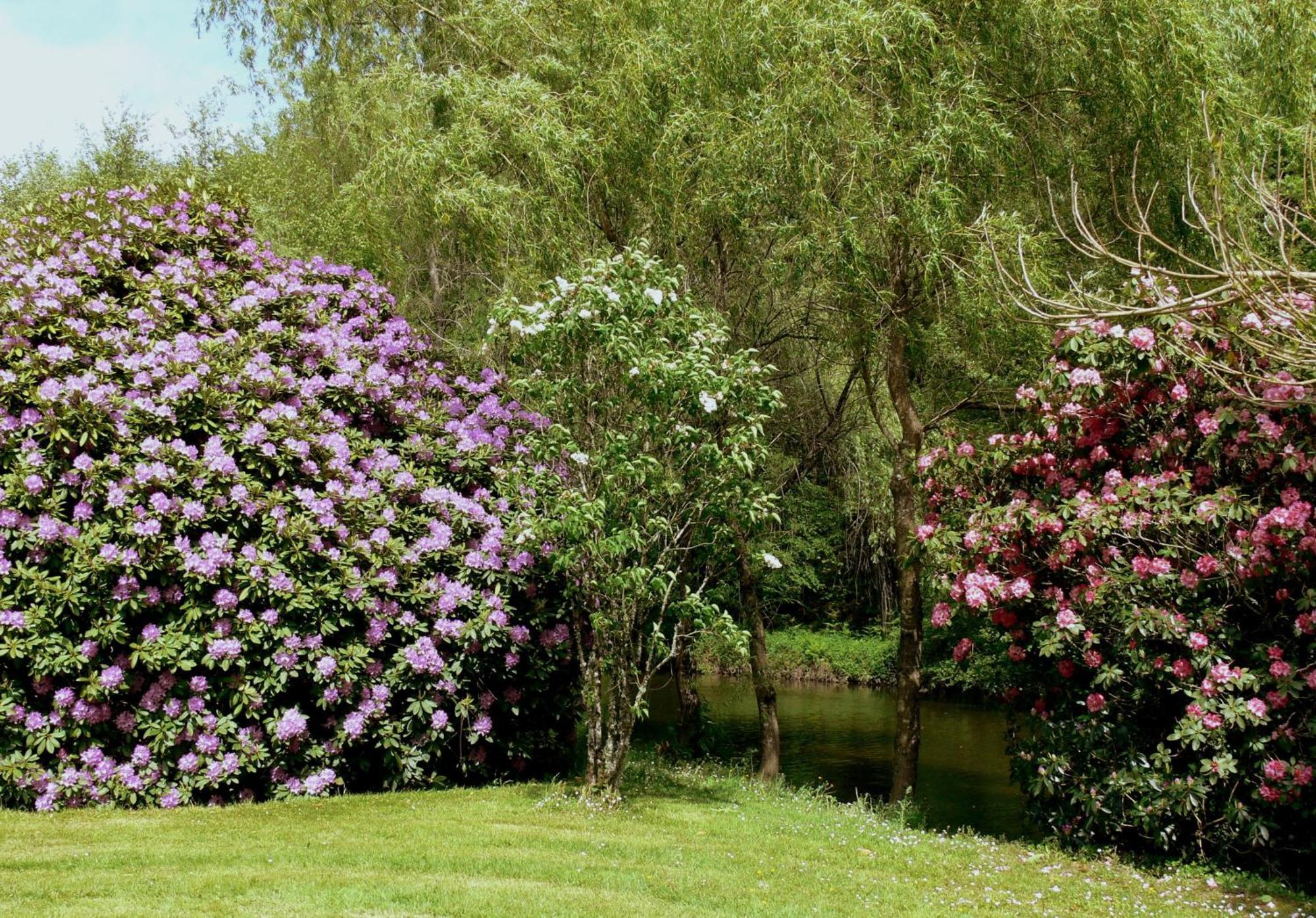 Frühstückspension Domaine De La Brugere