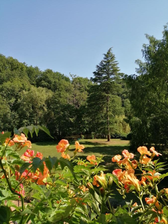 Domaine De La Brugere * Nantheuil